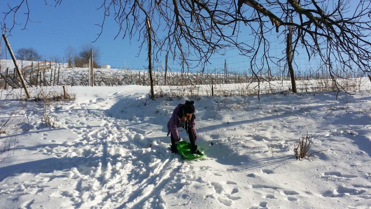 Winnica Agat Świerzawa Esterno foto