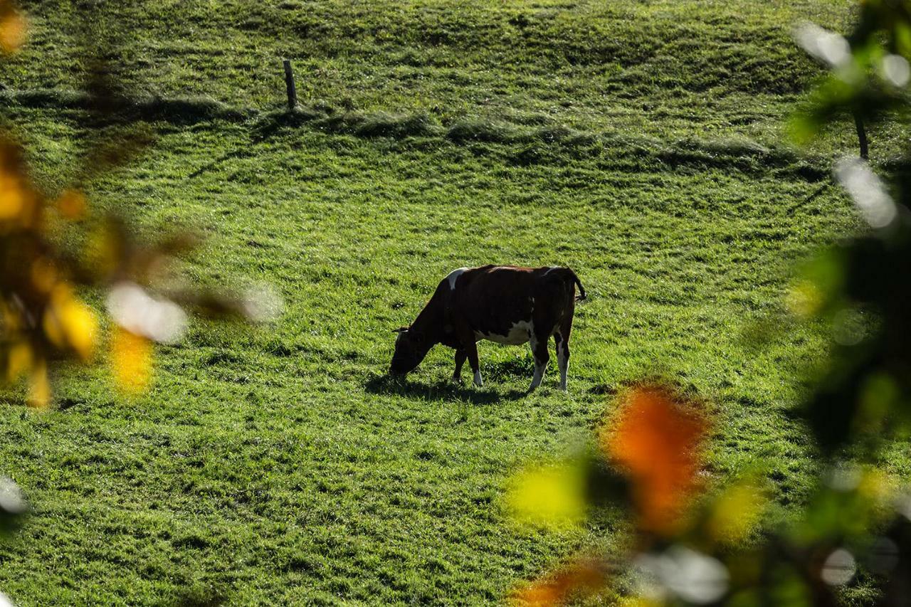 Winnica Agat Świerzawa Esterno foto