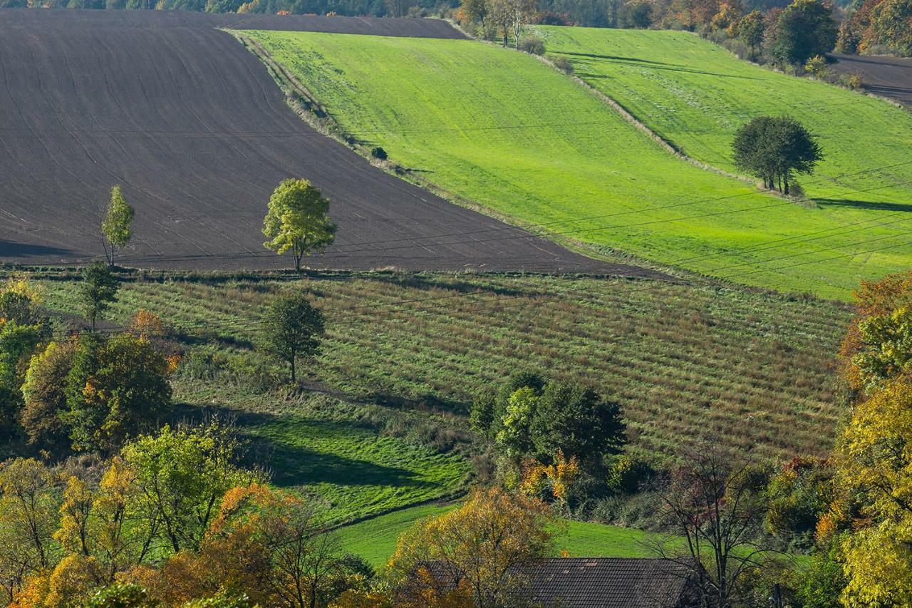Winnica Agat Świerzawa Esterno foto